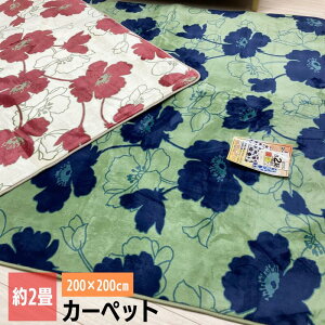 ` 2 200×200cm E^ ӂӂ \tg }C[O J[ybg i[Yp[j PL800 x[WEO[