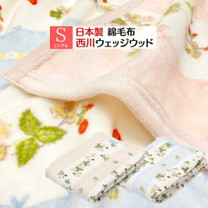 V[DȖѕz  EFbWEbh { 100 VO WEDGWOOD Rbg YiWW7620jFQ00101005 sNEu[