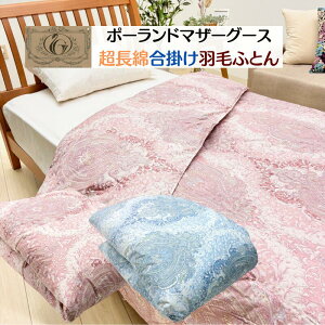 |Hѕzc |[h}U[O[X93 80 CS[hx { bBY ^LrOi8106j 󒍐Y