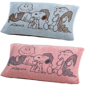 Xk[s[  ̂т̂у^Is[P[X ܂Jo[ Jo[iPN5666j XT65206666 sNEu[