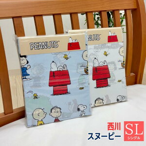 ���� �X�k�[�s�[ �|���ӂƂ�J�o�[ �V���O�� 150X210cm �􂦂� ��100�� PEANUTS GANG �Ђ�8���� PI06540638 PN6601BD �u���[�E�z���C�g