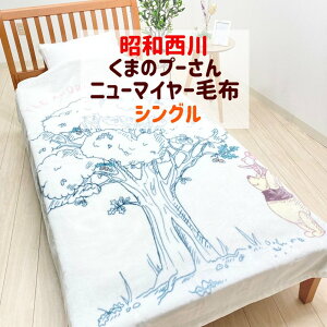 毛布 タオルケット 昭和西川 ディズニーの人気商品 通販 価格比較 価格 Com