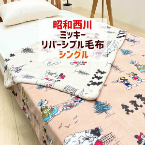 毛布 タオルケット ディズニー 西川の人気商品 通販 価格比較 価格 Com