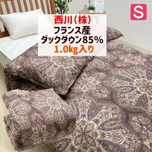 ���� �t�����X�Y�_�b�N�_�E��85�� 1.0kg �V���O�� �y�ʃ^�C�v �H�ѕz�c (5RG30) ���{�� �u���E�� 144053014