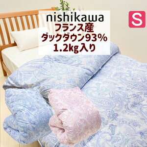  tXY_bN_E93 1.2kg VO Hѕzc RۖhLH { (9251) ܂݃Lg sNEu[