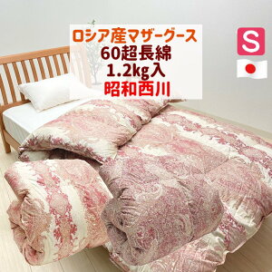 a VA}U[O[X93 1.2kg 60 Hѕzc _Ep[430 VO { i45684ji672j