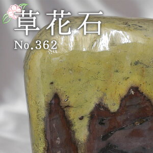 p[Xg[ Ԑ VR sN`[Xg[  蕨    p[Xg[ ^ CWO