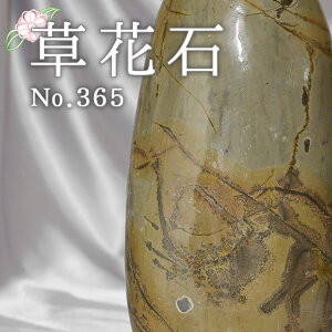 p[Xg[ Ԑ VR sN`[Xg[  蕨    p[Xg[ ^ CWO