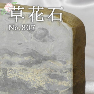 p[Xg[ Ԑ VR sN`[Xg[  蕨    p[Xg[ ^ CWO