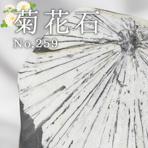 p[Xg[ eԐ VR  u   ^ CWO