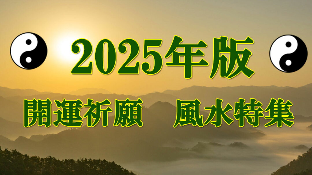 2025ǯ