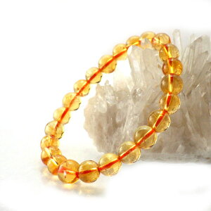 _9܂ŁI8OFFN[|^ Vg uXbg uX 11̒a F p[Xg[ VR ʔ Y fB[X F CG[  ^F J^F ʔ ΎR 