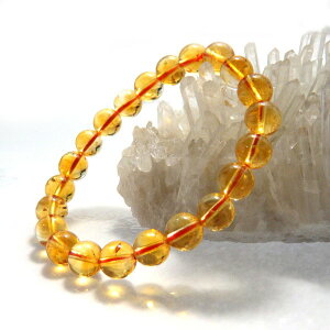 _9܂ŁI8OFFN[|^ Vg uXbg uX 11̒a F p[Xg[ VR ʔ Y fB[X F CG[  ^F J^F ʔ ΎR 