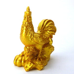   Ƃ  g { jg u ɂƂ x̒u ΎR ObY J^F 2025 |Cg y x̒u  ƂzyRSLz