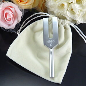 NX^`[i[ 4096 Hz  ObY J^F ΎR  2026 yNX^`[i[gїp|[`tz䂤pPbg