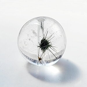 p[Xg[ 萅 o VR X^[CNH[c  ۋ nhCh p[c r[Y ANZT[ ΎR  2025 z yAAAAAtFAN`mCgCNH[c 