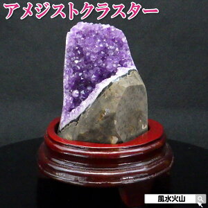 _31܂ŁI10OFFN[|^ AWXg NX^[ p[Xg[ VR  u a uꏊ AWXgNX^[ ObY ObY  ΎR  2025 ̔ z