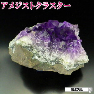 _31܂ŁI10OFFN[|^ AWXg NX^[ p[Xg[ VR  u a uꏊ AWXgNX^[ ObY ObY  ΎR  2025 ̔ z