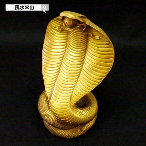 _11܂ŁI10OFFN[|^ ւ̒u   u Ru  wr u  ΎR ObY x̒u  x u N 蕨 ^F J^F N 2025 y ^F