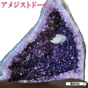 _11܂ŁI10OFFN[|^ AWXgh[ AWXg  VR u p[Xg[ Jy[ J[Xg[ J^F ObY ΎR  2025 z yuWYAWX