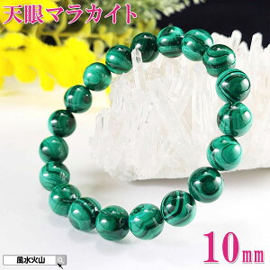 _27܂10OFFN[|^ V}JCg V }JCg a 5 uXbg p[Xg[ VR E fB[X Y O[  ΐF̐ NWN  J^F 