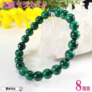 _27܂10OFFN[|^ V}JCg V }JCg a 5 uXbg p[Xg[ VR E fB[X Y O[  ΐF̐ NWN  J^F 