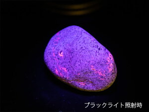 [p[Cg 85g UVCg+MeB[J[ht ̔ R悤Ɍ XyIΐ肢   VR p[Xg[ J[Xg[  ΎR  2025 