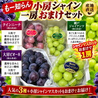岡山県産　ブドウ　もー知らん小房シャイン一房おまけセット　4房