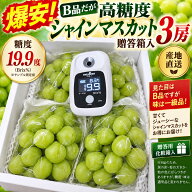 岡山県産　ぶどう　B品高糖度シャインマスカット3房