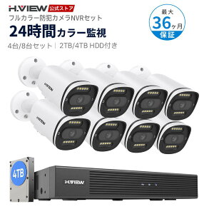 �yH.VIEW�����X�g�A�z�h�ƃJ���� �Z�b�g 4�� 8�� HDD���� 2TB 4TB 4K 800����f �t���J���[�Ď� �J���[�Î� �o�������� AI�l�����m PoE���d �L�� �Ď��J�����Z�b�g 8ch NVR���R�[�_�[ IP67�h���h�o WDR �X