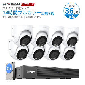 H.VIEW�����X�g�A �h�ƃJ���� �Z�b�g 2TB/4TB HDD���� 4�� 6�� 8�� 4K 800����f �t���J���[�h�ƃJ���� PoE���d 24���ԃt���J���[�Ď� AI�l�����m NVR H.265 ONVIF�Ή� IP67 �X�}�z���u�Ď� ���O ���� �h�[��