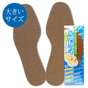 [ [ ] 傫TCY C̒炳K hCC\[ 29cm 32cm RuX C\[ hC Y fB[X [ 炳 rWlXV[Y C pvX Xj[J[ u[