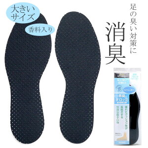 [ [ ] L R NbV ʋC ϋv RuX COLUMBUS y C\[ ~ 傫TCY ̏L΍ L L K  ^ jO EH[LO X|[c 29cm