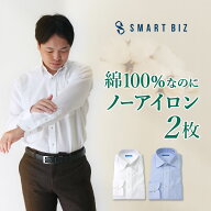 【綿100％なのにノーアイロン】 ワイシャツ 長袖 標準体 形態安定 ノーアイロン メンズ 2枚セット【洗濯…