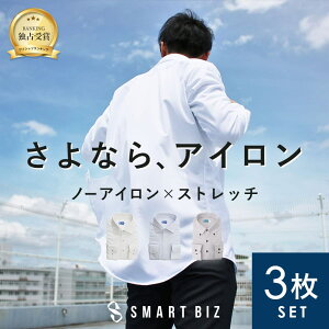 【全品ポイント2倍!! 本日限定 】【さよならアイロン】 ワイシャツ ノーアイロン 3枚セット 長袖 30代 40代 ニ