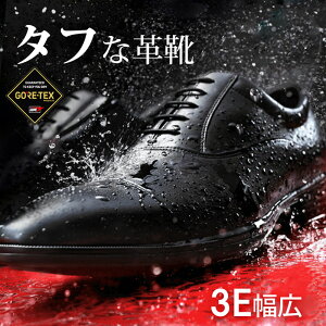 GORE-TEX h hŉJł CV[Y AVbNX texcy luxe eNV[NX rWlXV[Y SAebNX vC JC Y [  ʋ ʊw h J 䕗  ʋC K 
