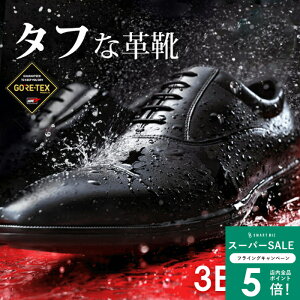 _MAX50OFFN[|zz^ GORE-TEX h hŉJł CV[Y AVbNX texcy luxe eNV[NX rWlXV[Y SAebNX vC JC Y [  ʋ ʊw 