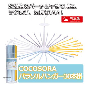 󕨊  nK[ ]   30{ nK[ ^R ^I ^I| vۍHƏ p\nK[ 30{| yCOCOSORAz