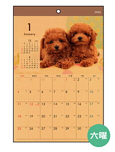 J_[ 2026 Ǌ| B4Ntg Ckʐ^