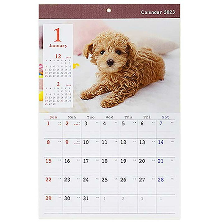新しいブランド 仔犬 カレンダー 壁掛け 2023 犬 いぬ 月めくり 日曜始まり マンスリー 月間 かわいい おしゃれ シンプル 動物写真 書き込み 予定管理 スケジュール管理 オフィス 会社 A3 イヌ