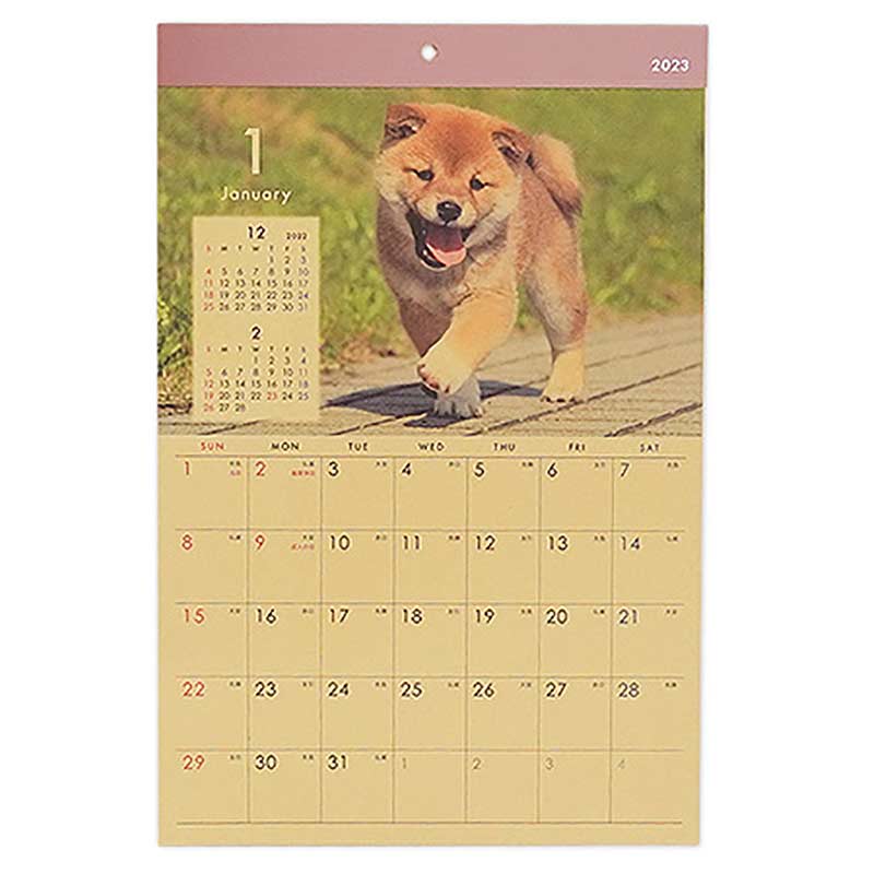 激安通販販売カレンダー 2023 壁掛け B4 クラフト イヌ カレンダー