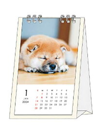 カレンダー 2024 卓上 タテ型 イヌ