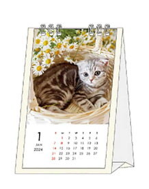 カレンダー 2024 卓上 タテ型 ネコ