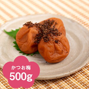 yIB썂~z~500g(ϔ)yyMt_zyyMt_̂zyyMt_bŹz