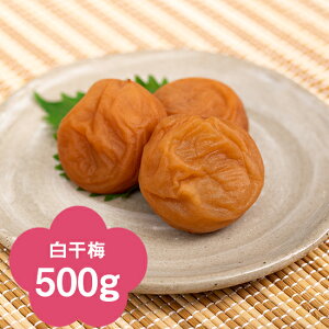 yIB썂~z~500giϔjyyMt_zyyMt_̂zyyMt_bŹz