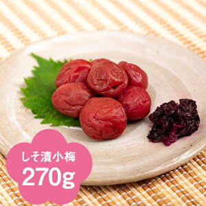 yIB~zЏ~270g(ϔ)yyMt_zyyMt_̂zyyMt_bŹz