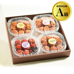 IBI~ 4lyyMt_zyyMt_̂zyyMt_bŹz