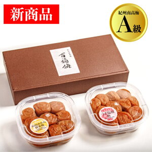 IBI~ 2lyyMt_zyyMt_̂zyyMt_bŹz