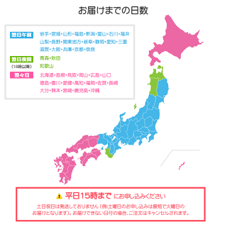 WiFiレンタル1日プラン10GBY!mobileGL06P【送料無料】【WiFiレンタル本舗】【レンタル】