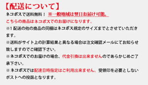 【送料無料】ほうき&ちりとり2点セット棕櫚箒和風ちりとり柿渋はりみ小(ひも付き)2点チリトリおしゃれ静電気が起きない